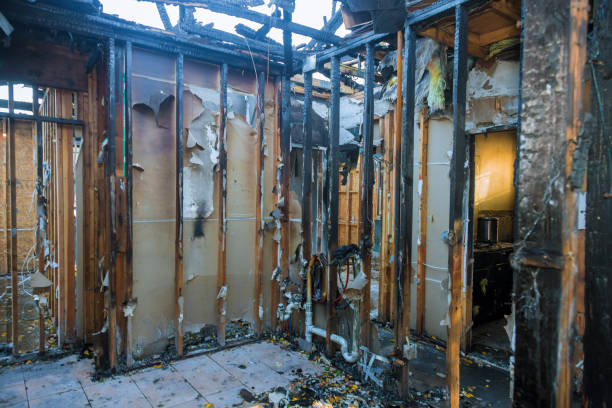 Professional Fire Damage Removal technician working in Brookeville, MD